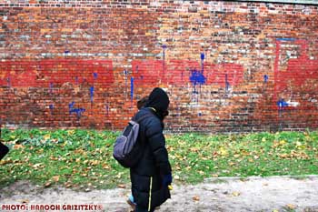 IMG_ (10464)